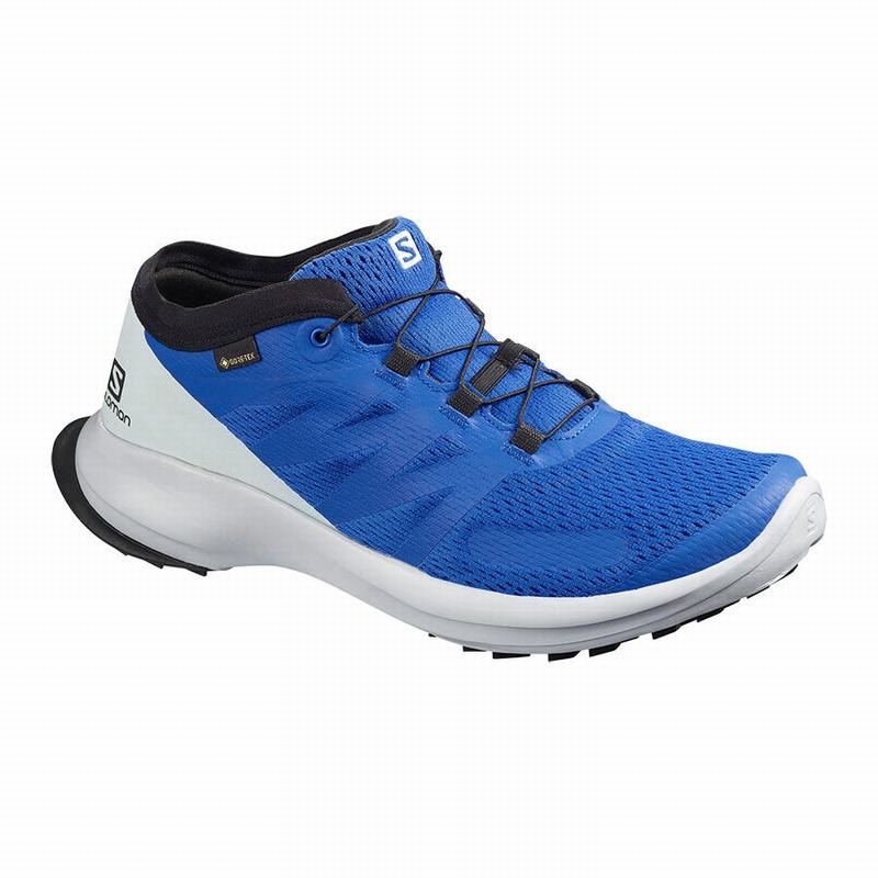 Salomon SENSE FLOW GTX Zapatillas Trail Running Hombre - Azules - Colombia (91025-DQUY)